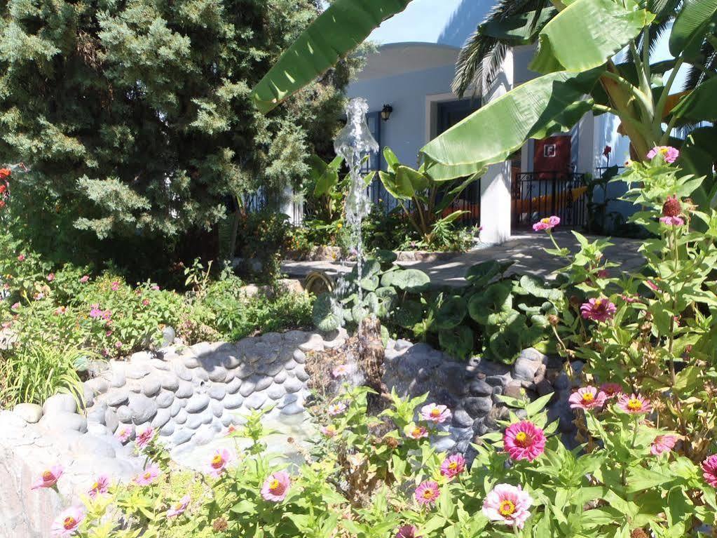 Blue Sky Hotel - Petra - Lesvos - Greece Екстериор снимка